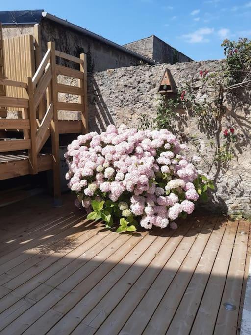 Champetre - Gite Entierement Neuf A 100 Metres De La Plage Вимере Экстерьер фото